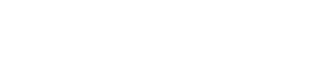 Loonbelasting Fiscalist